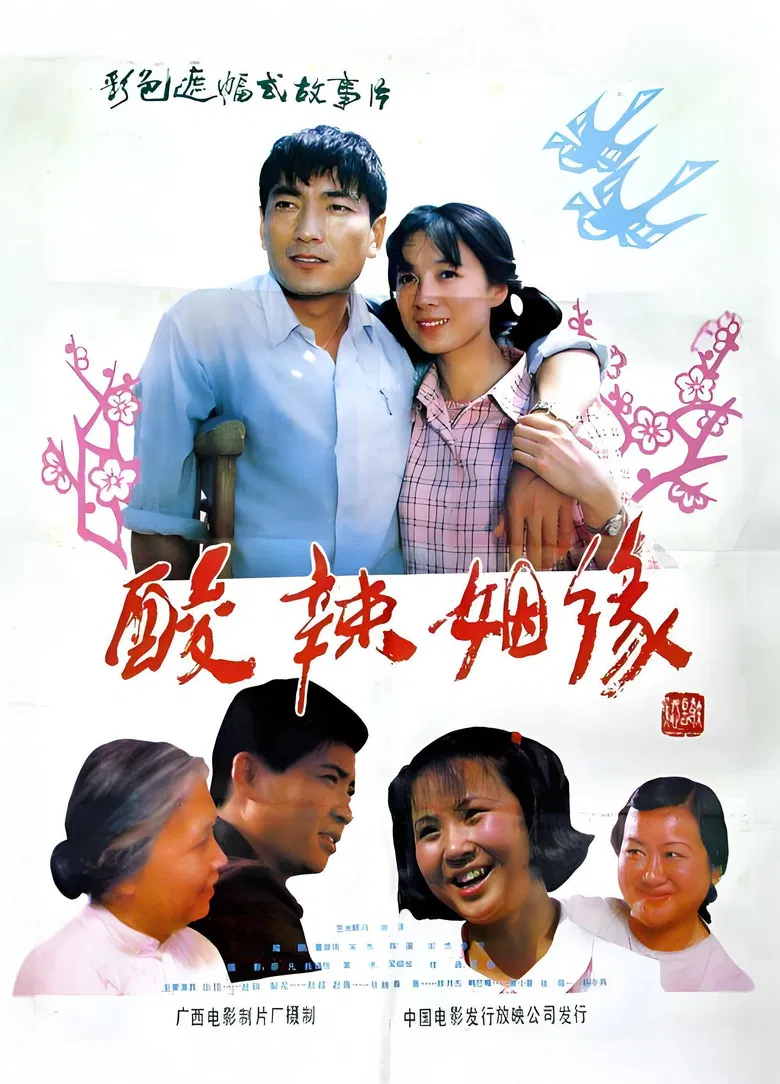 酸辣姻缘 poster background