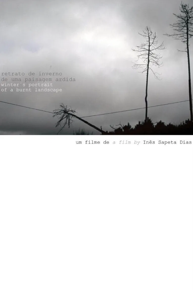 Winter's Portrait of a Burnt Landscape poster background