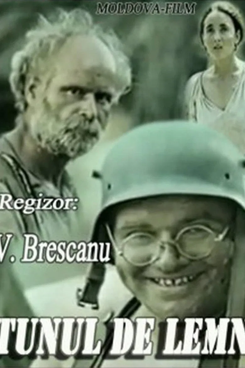 The Wooden Cannon poster background