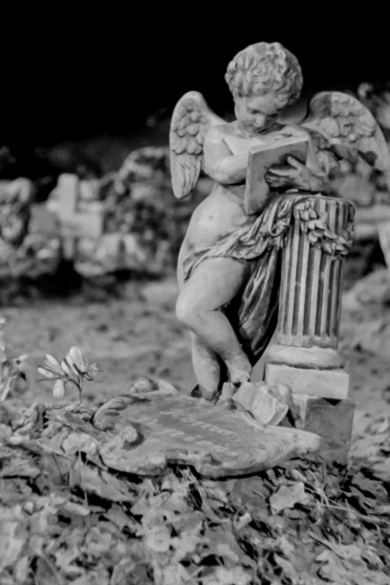 Life is Beautiful poster background