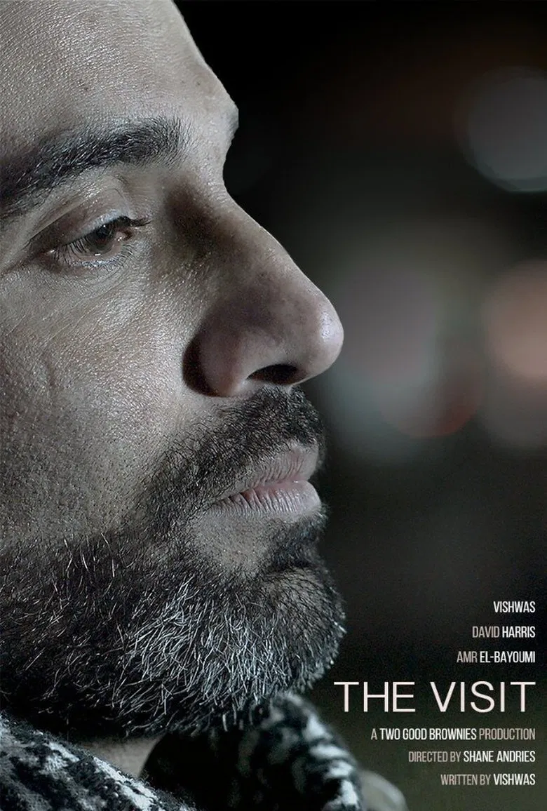 The Visit poster background