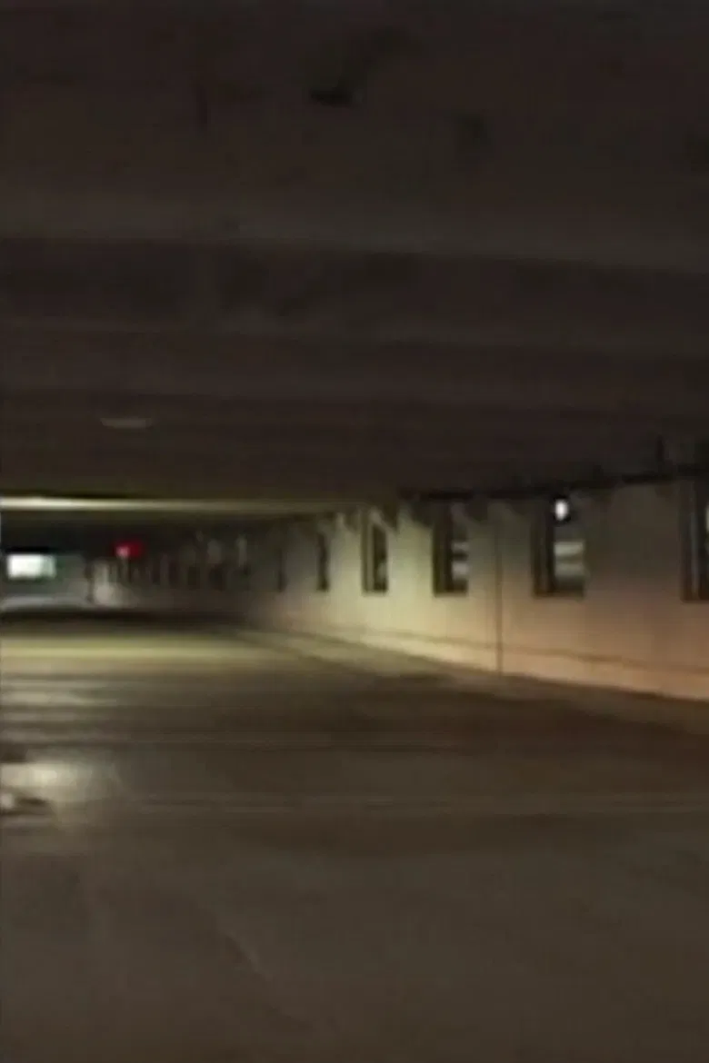 Odysseus in Ithaca poster background