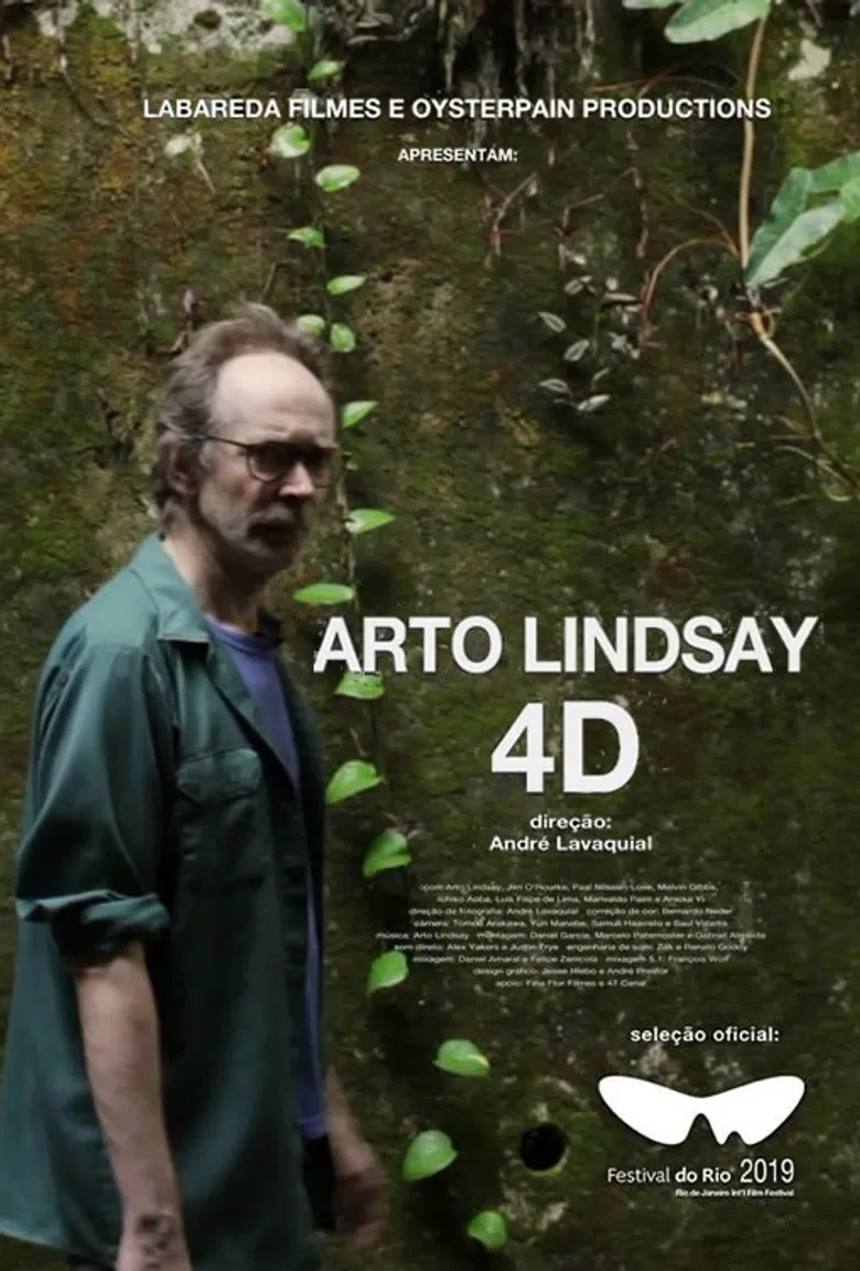 Arto Lindsay 4D poster background
