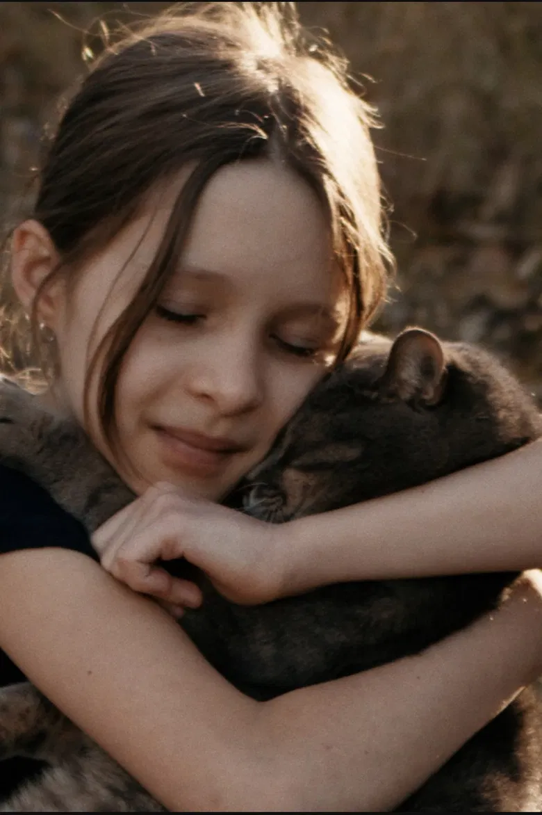 Save the Cat poster background