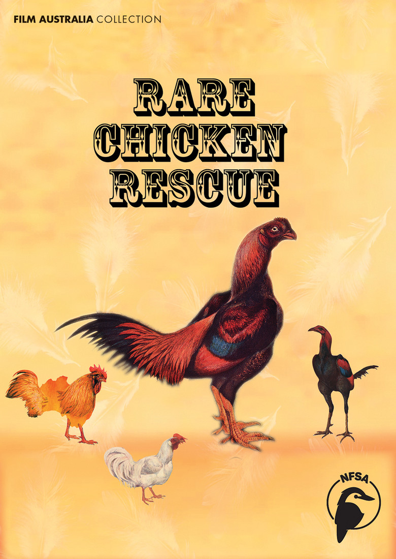 Rare Chicken Rescue poster background