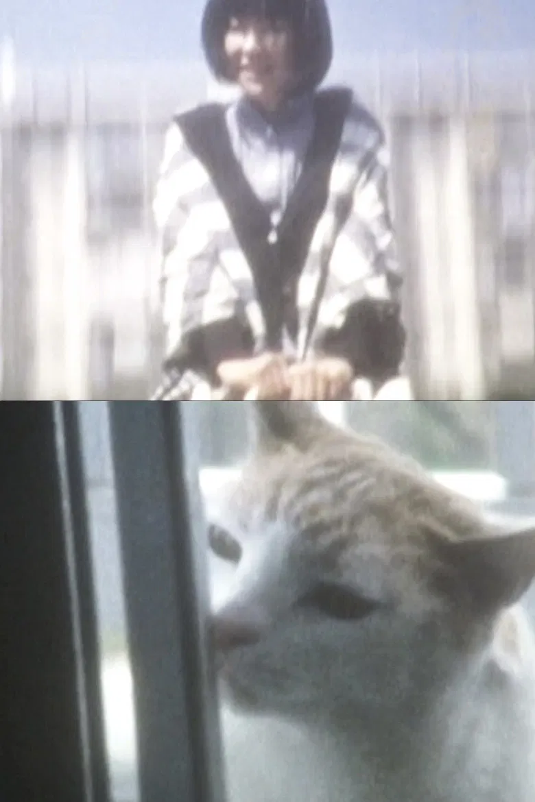 Have You Ever Tried Shiro-noir? poster background