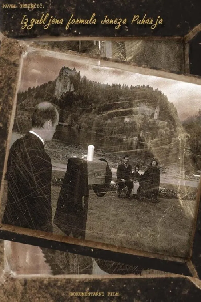 Janez Puhar's Missing Formula poster background