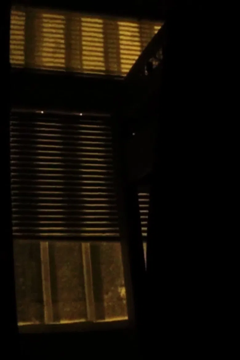 Rue Pouchkine poster background