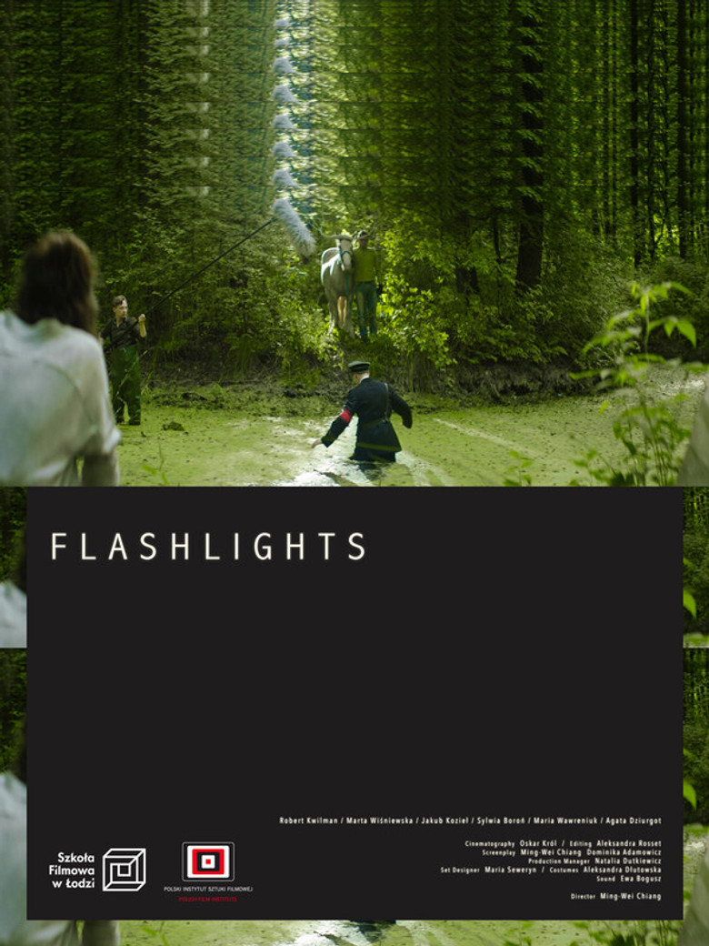 Flashlights poster background