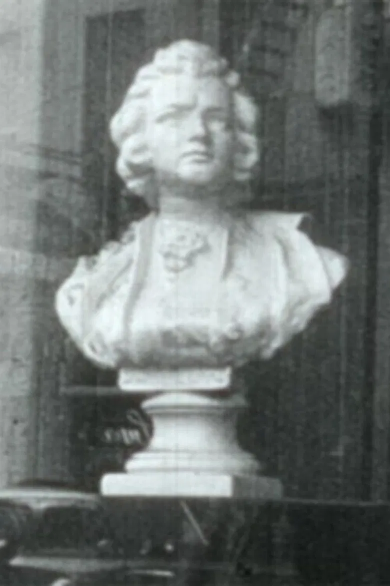 What Mozart Saw on Mulberry Street poster background