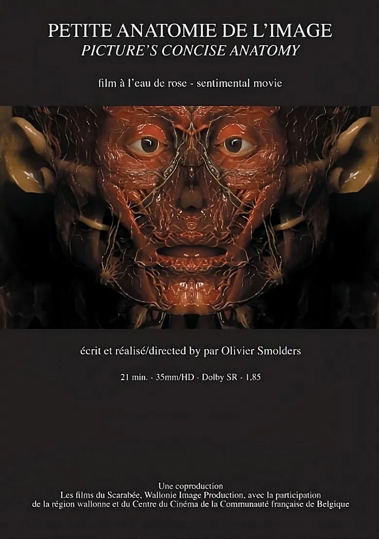 Petite anatomie de l'image poster background