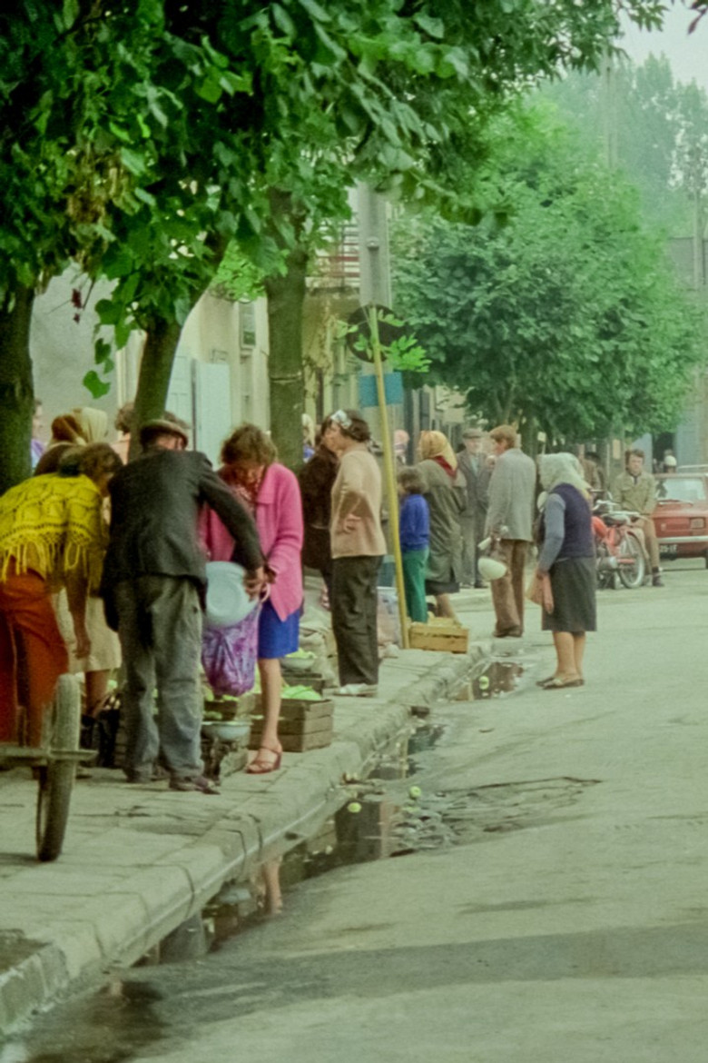 Fortune Favours Łęczna poster background