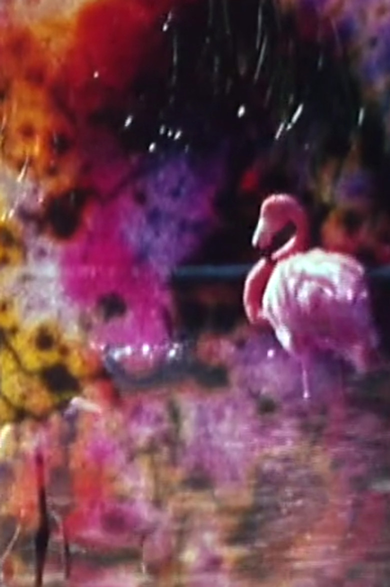 OM I poster background