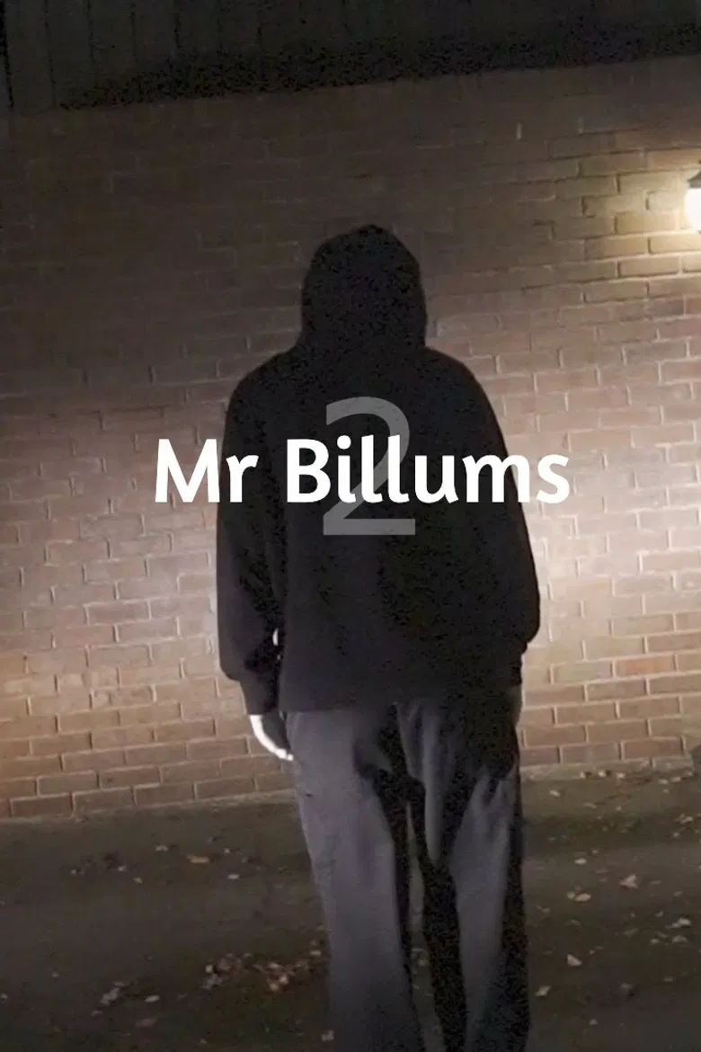 Mr Billums 2 poster background