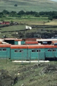 Island Observed poster background