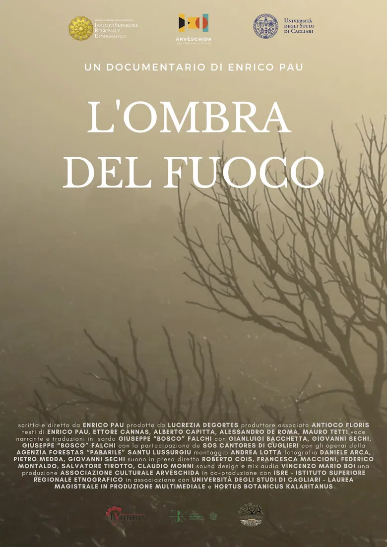 L'ombra del fuoco poster background