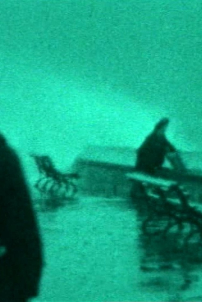 The Maelstrom: A Family Chronicle poster background