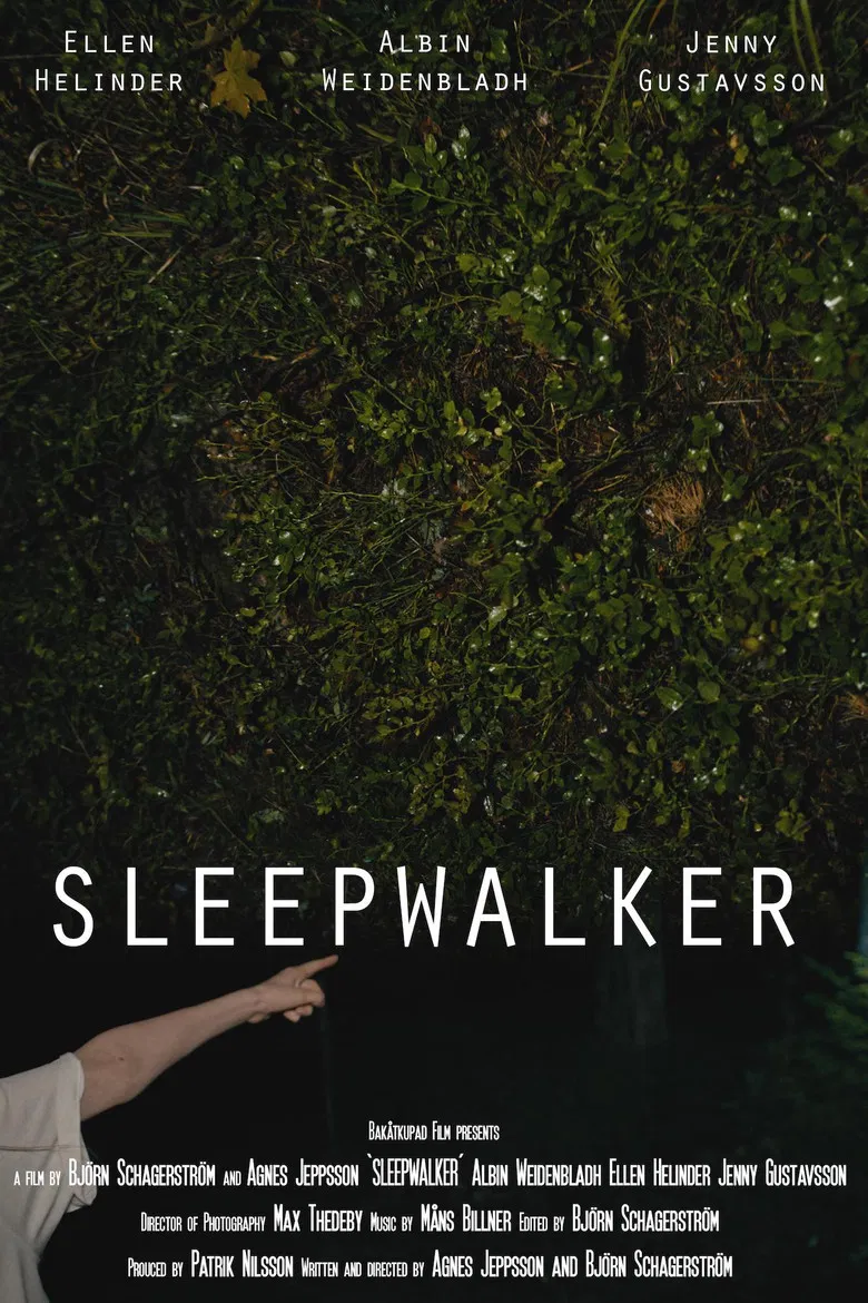 Sleepwalker poster background
