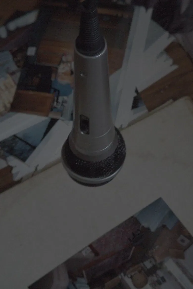 Room Tone poster background