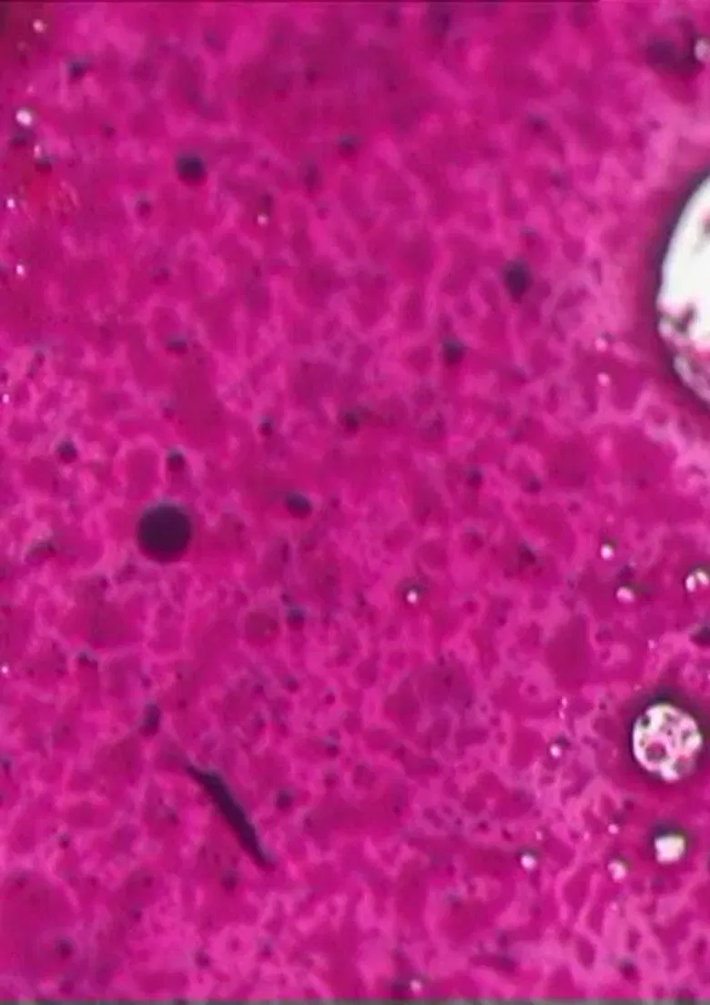 Malfilm poster background