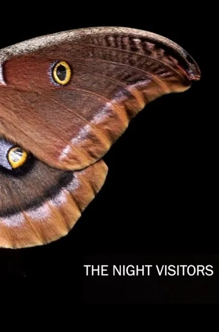 The Night Visitors poster background