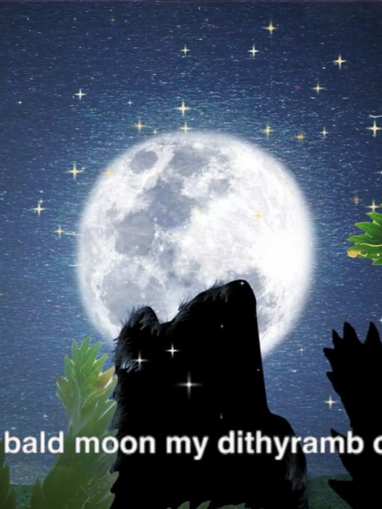 Dog poster background