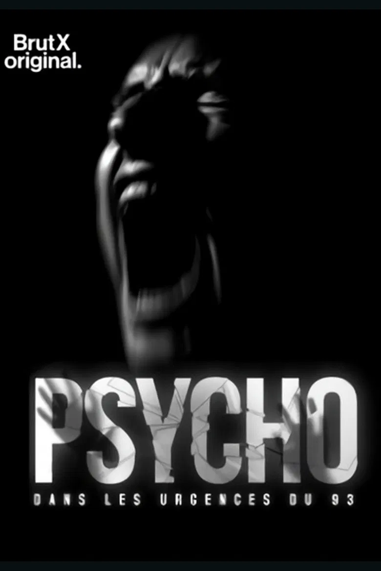 Psycho : dans les urgences du 93 poster background