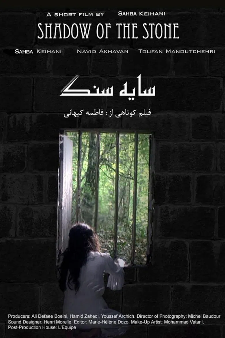 Shadow of the Stone poster background