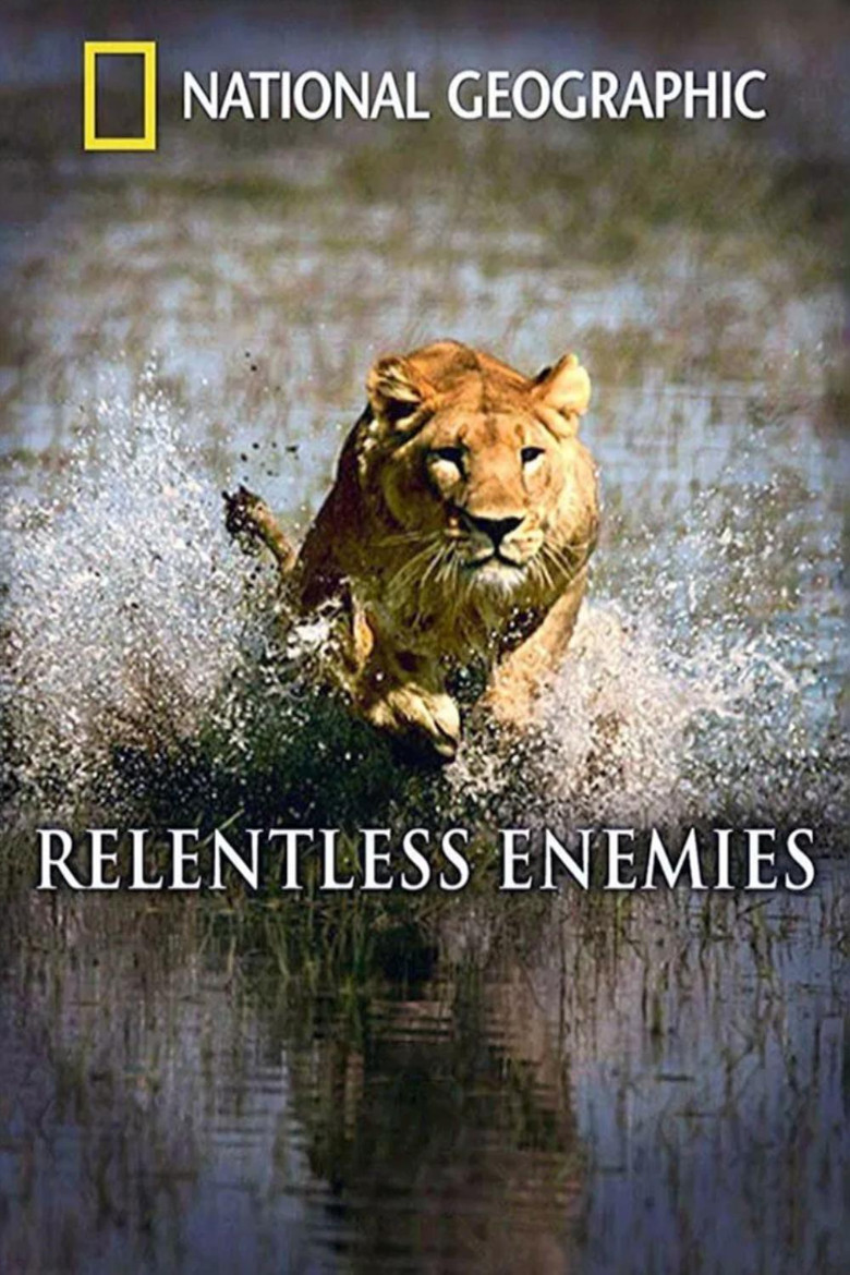 Relentless Enemies: Lions and Buffalo poster background