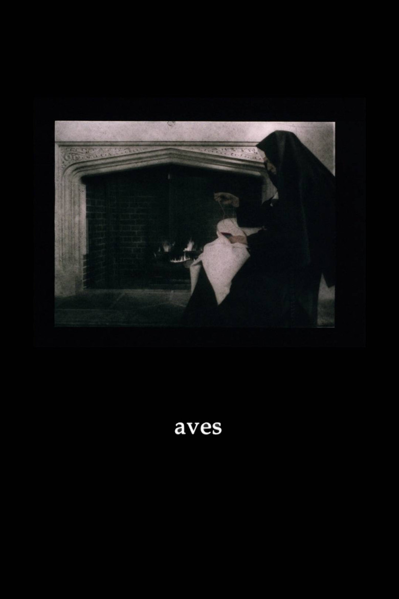Aves poster background