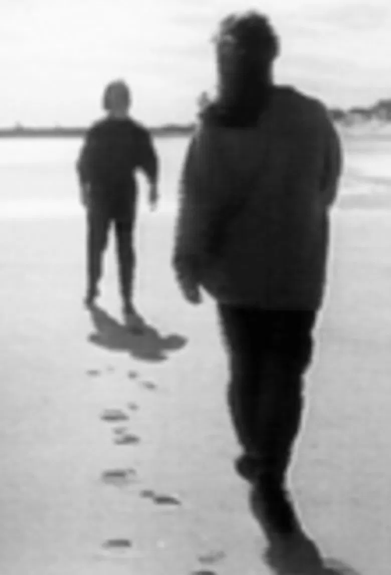 Silences poster background