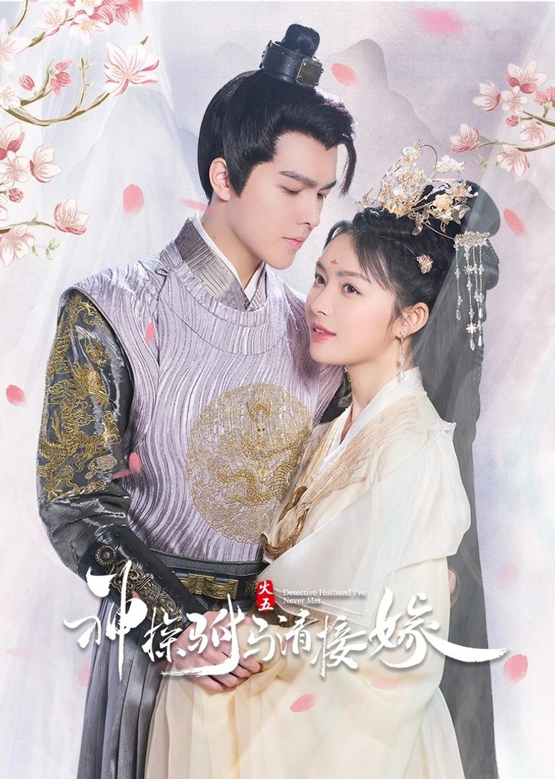 Detective Husband I've Never Met poster background