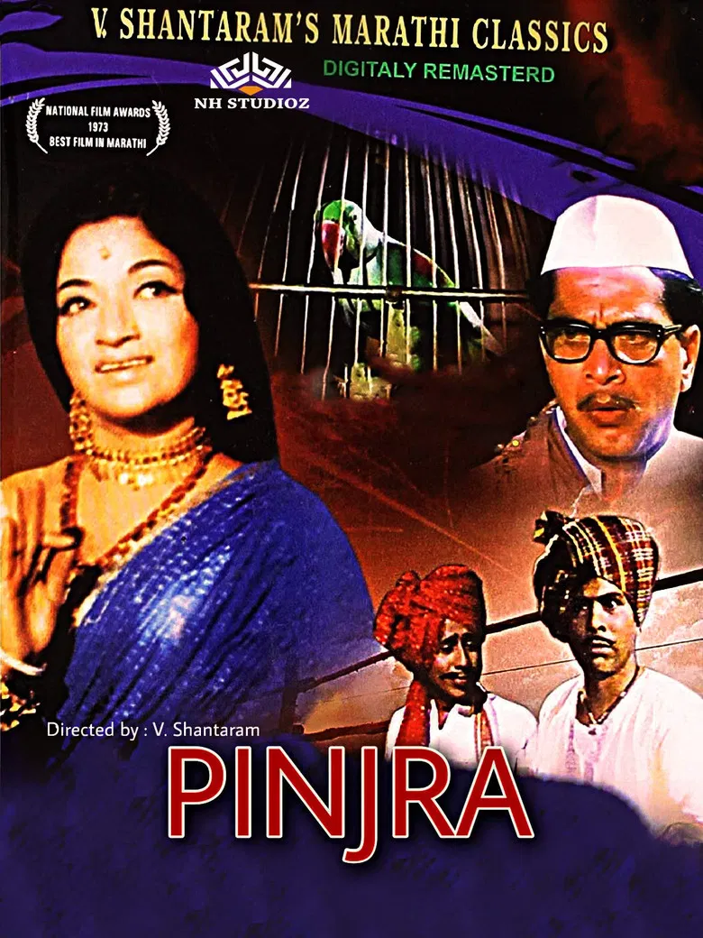 Pinjra poster background