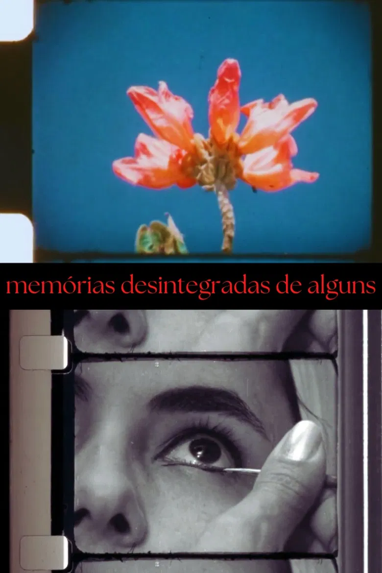 Disintegrated Memories of Some poster background