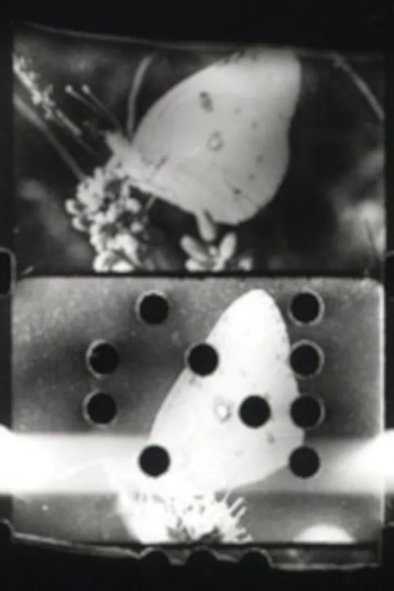 Flutter poster background