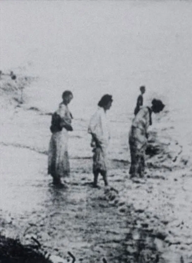 Seashore poster background