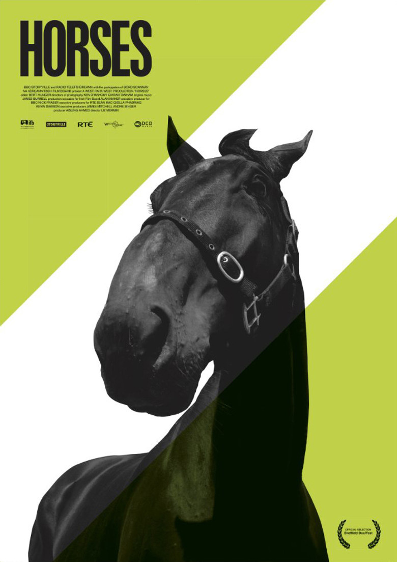 Horses poster background