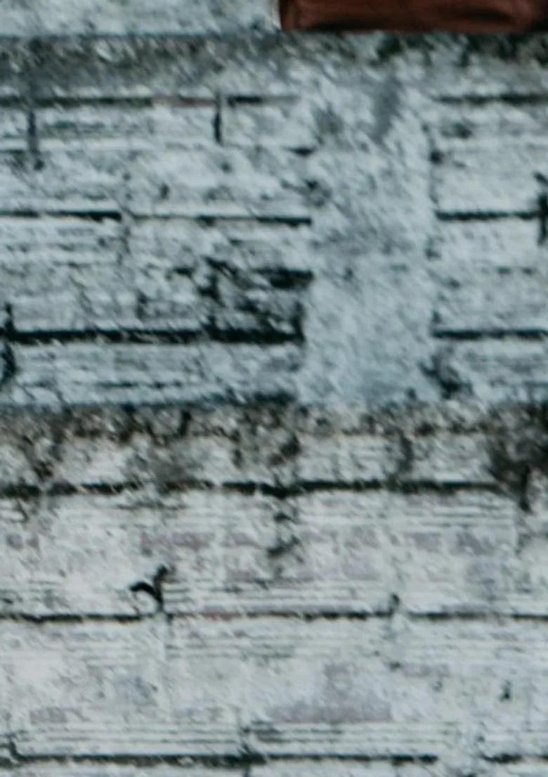 Das Cinzas às Cinzas poster background