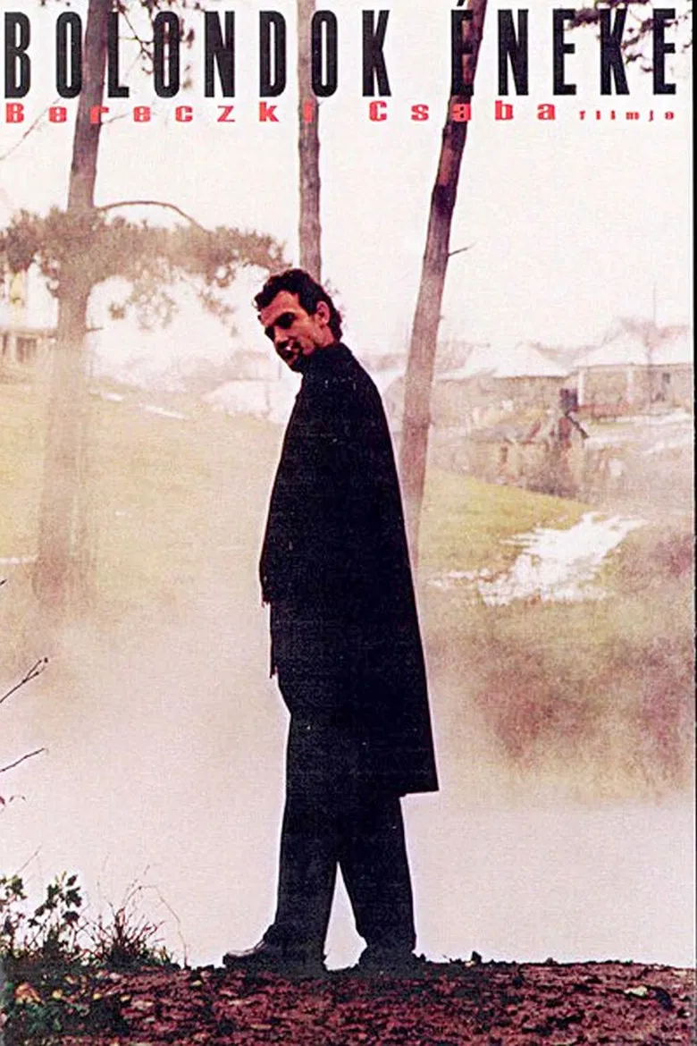 Fool's Song poster background