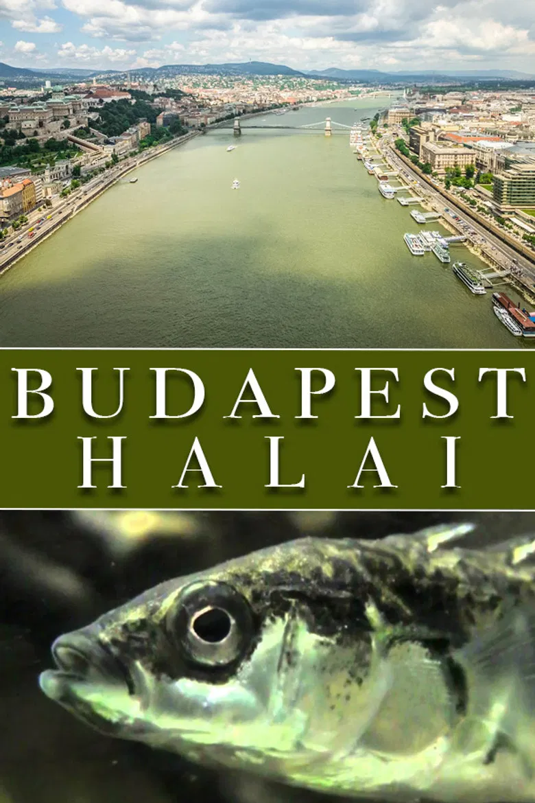 The Fish of Budapest poster background