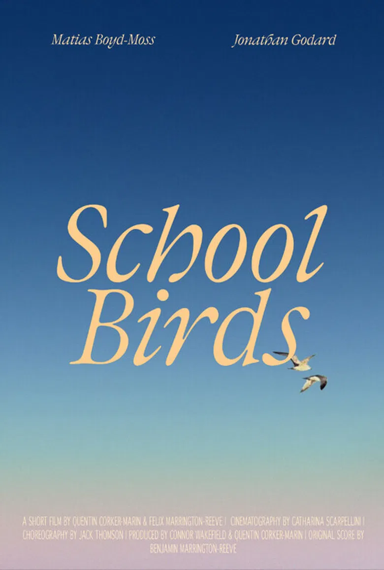 School Birds poster background