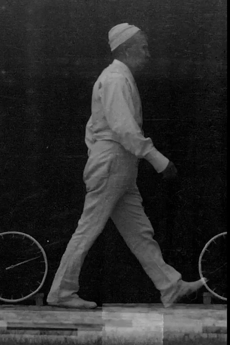 Marche Ordinaire poster background