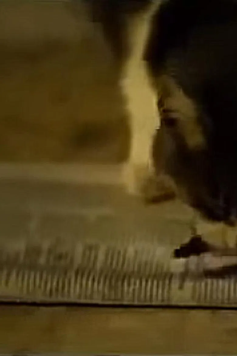 Why me? poster background