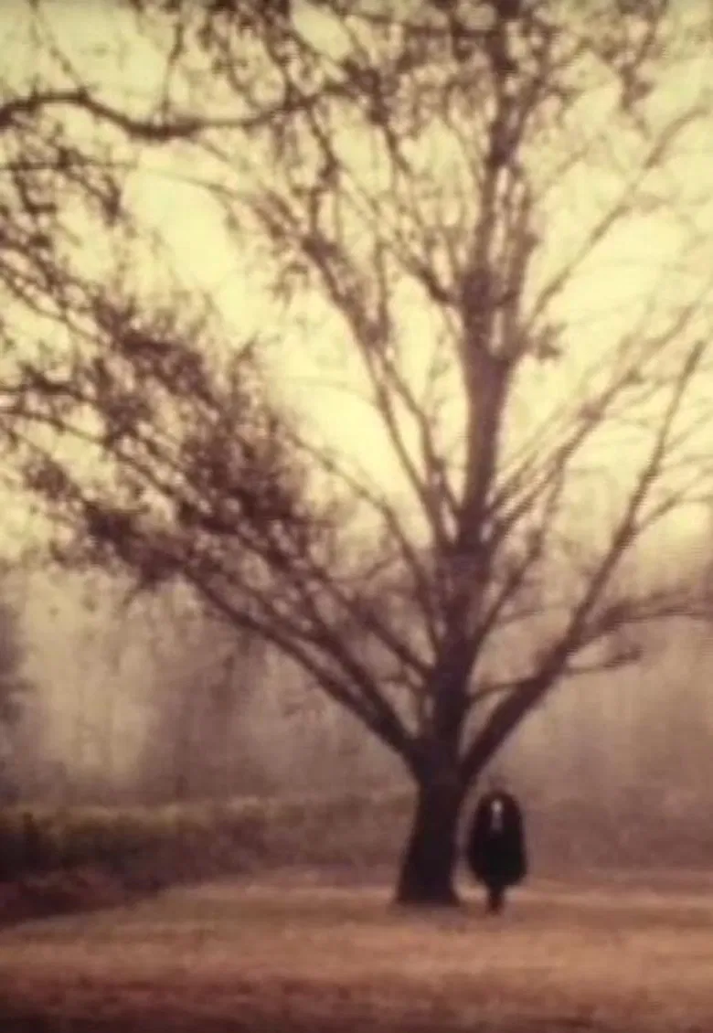 D. Jaime or the Portuguese Night poster background