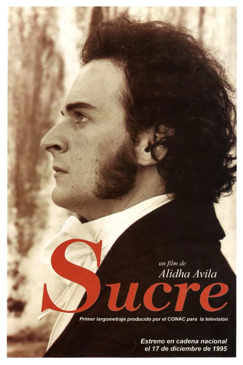 Alidha Ávila's Sucre poster background