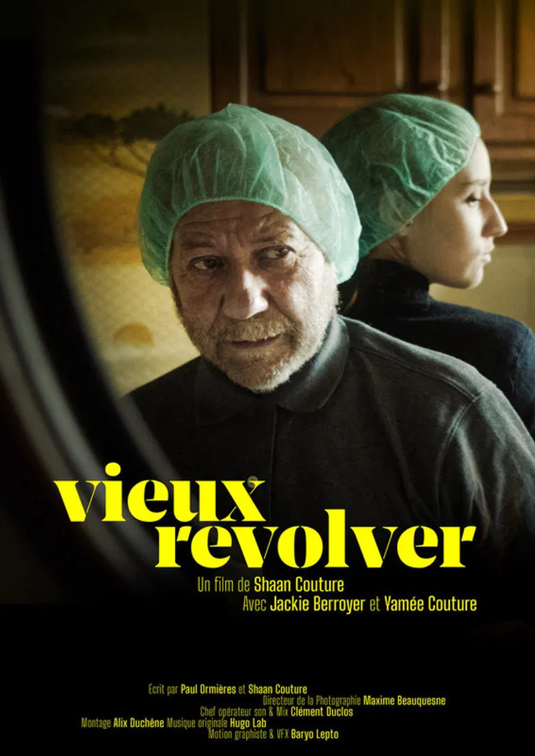 Vieux revolver poster background