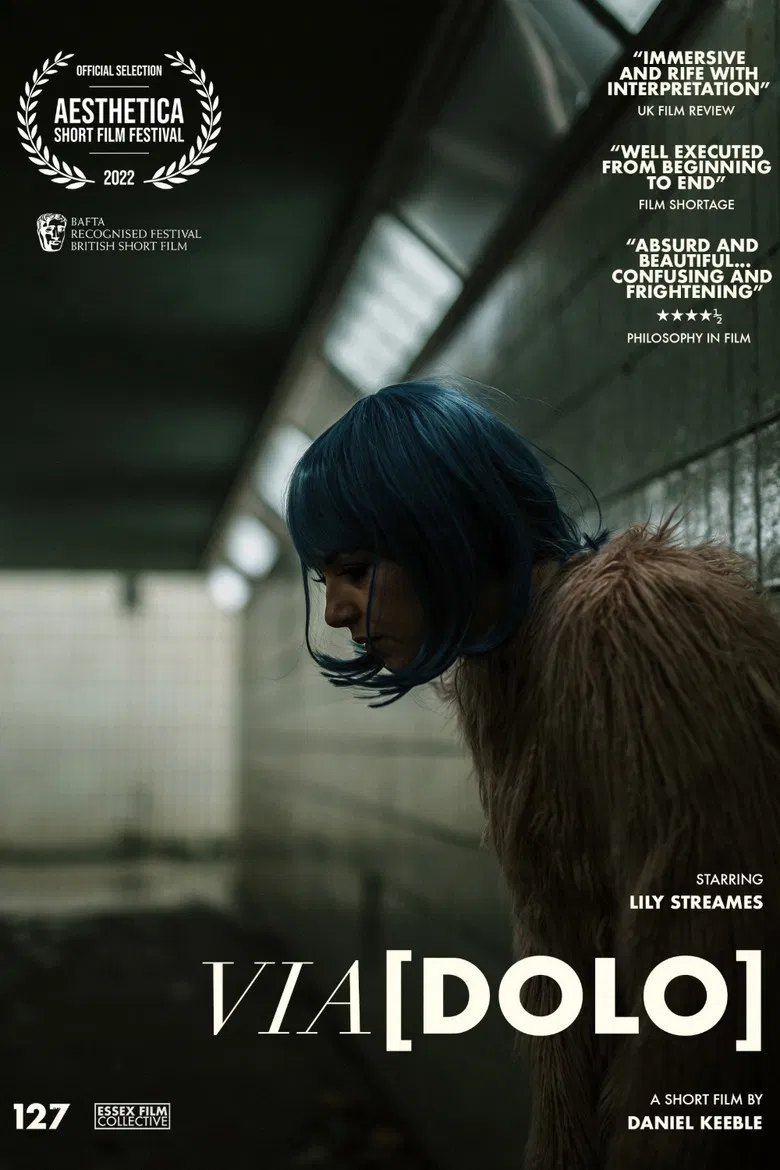 Via[Dolo] poster background