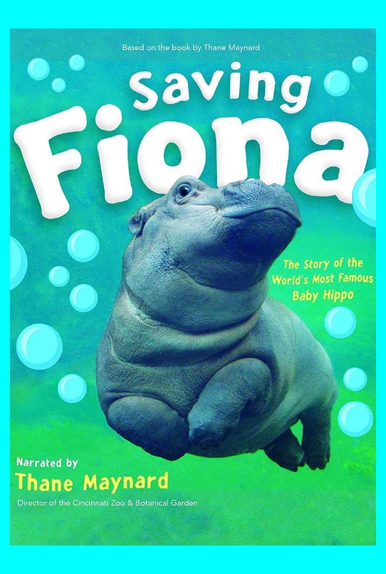 Saving Fiona poster background