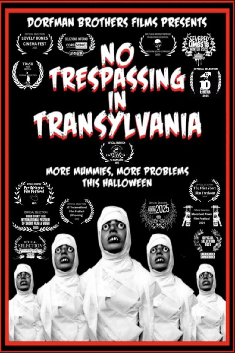 No Trespassing In Transylvania poster background