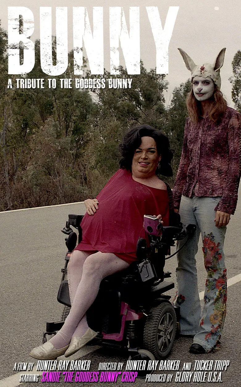 Bunny poster background